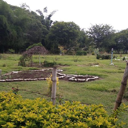 Blue Valley Jungle Resort Nīlgiri Buitenkant foto