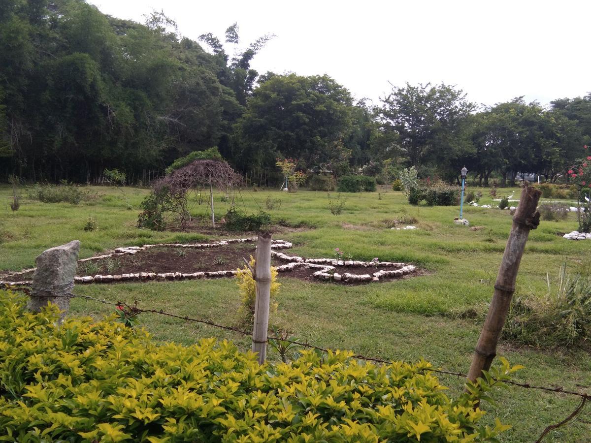 Blue Valley Jungle Resort Nīlgiri Buitenkant foto
