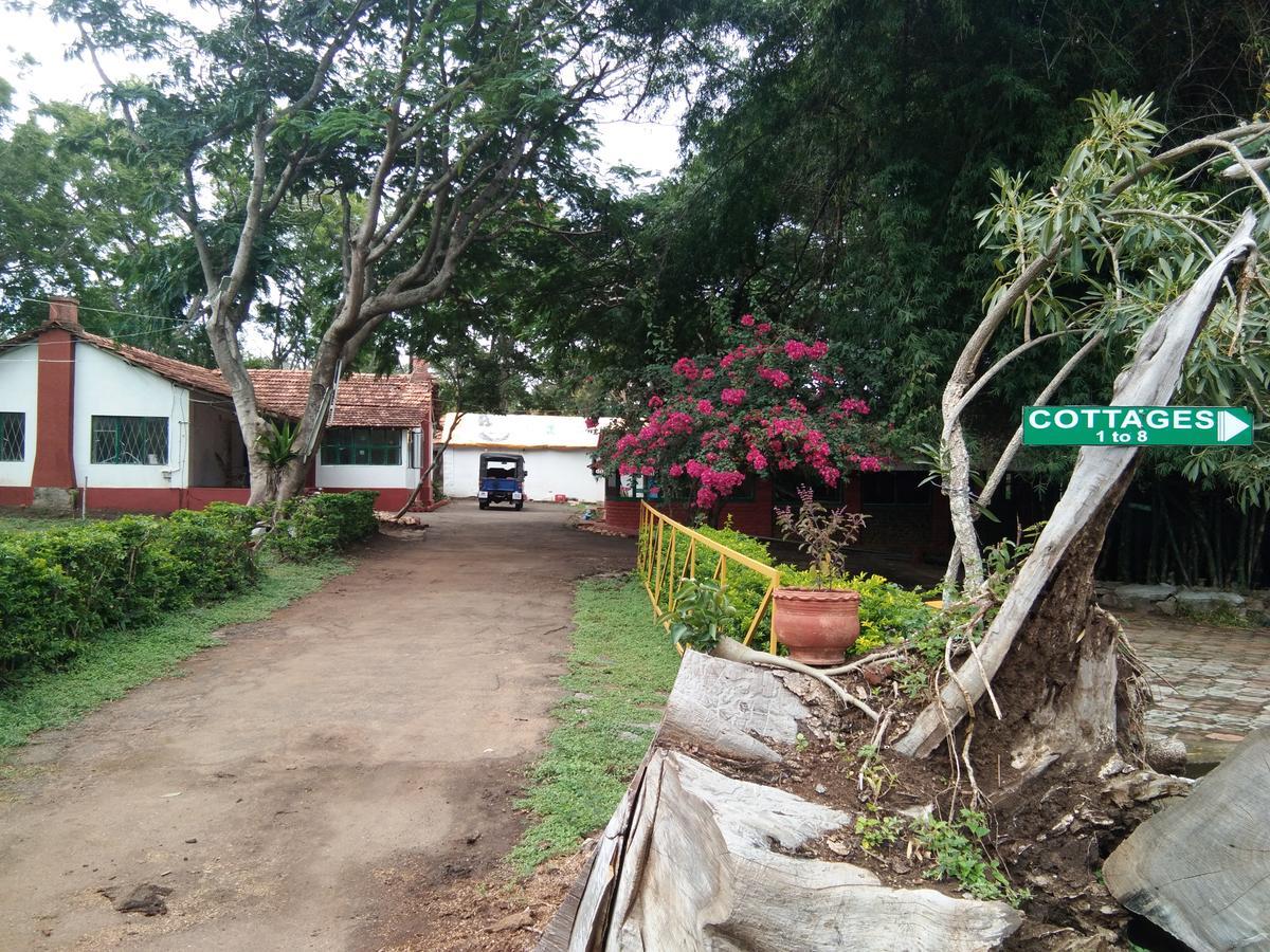 Blue Valley Jungle Resort Nīlgiri Buitenkant foto